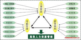 RFID設(shè)備全解析 電子標(biāo)簽、讀寫器及性能參數(shù)與市場報(bào)價(jià)